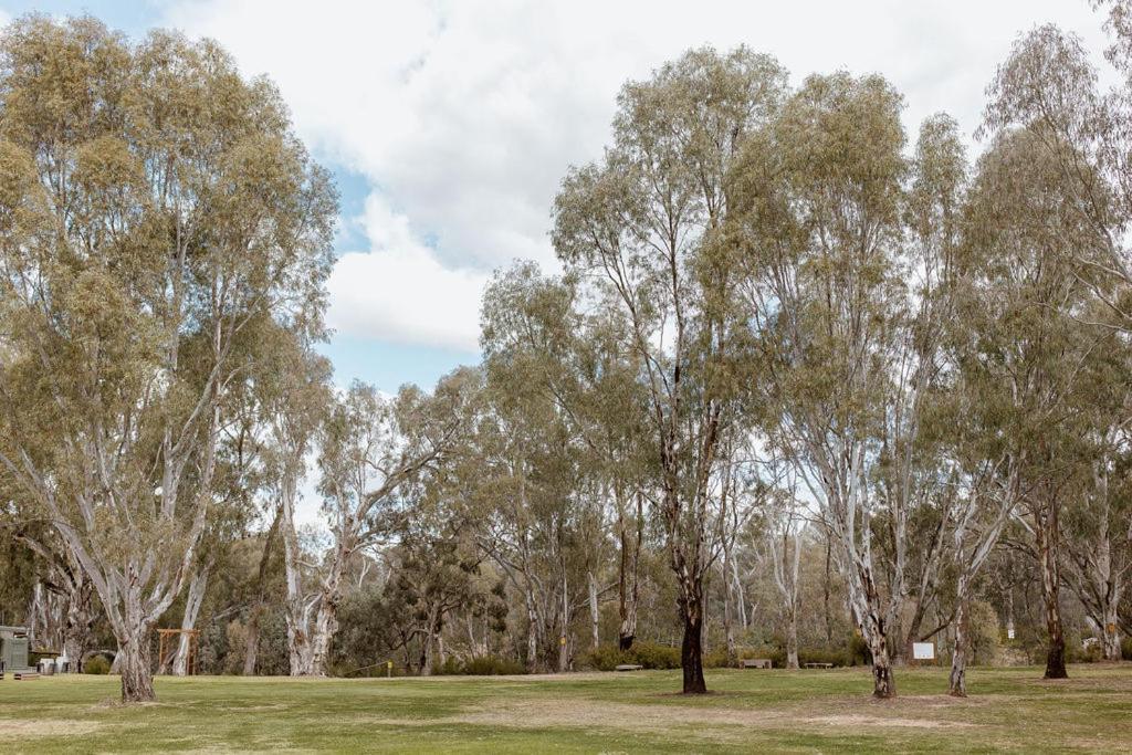 Tindarra Resort Moama Eksteriør billede